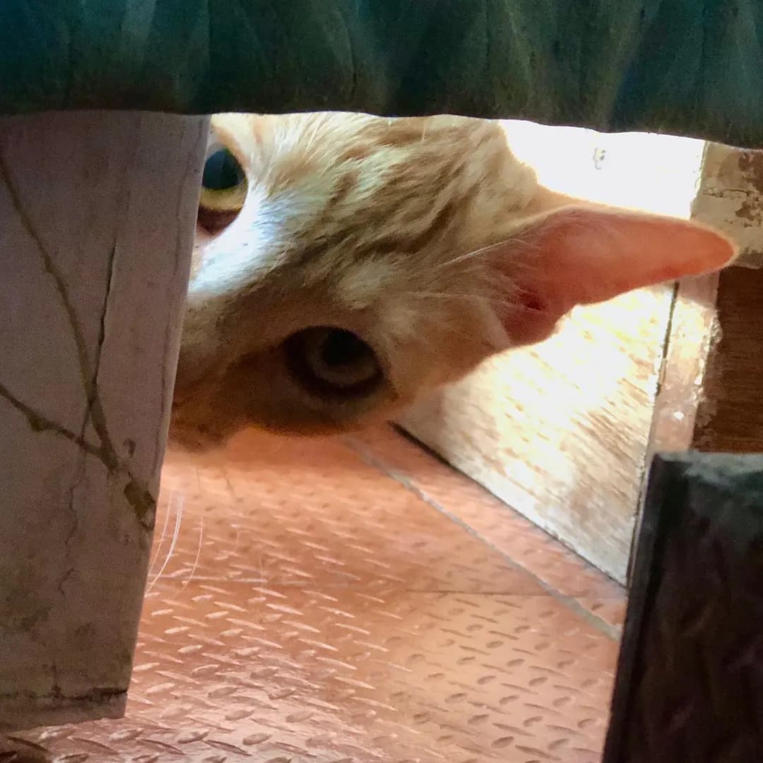 You are being watched 🧐