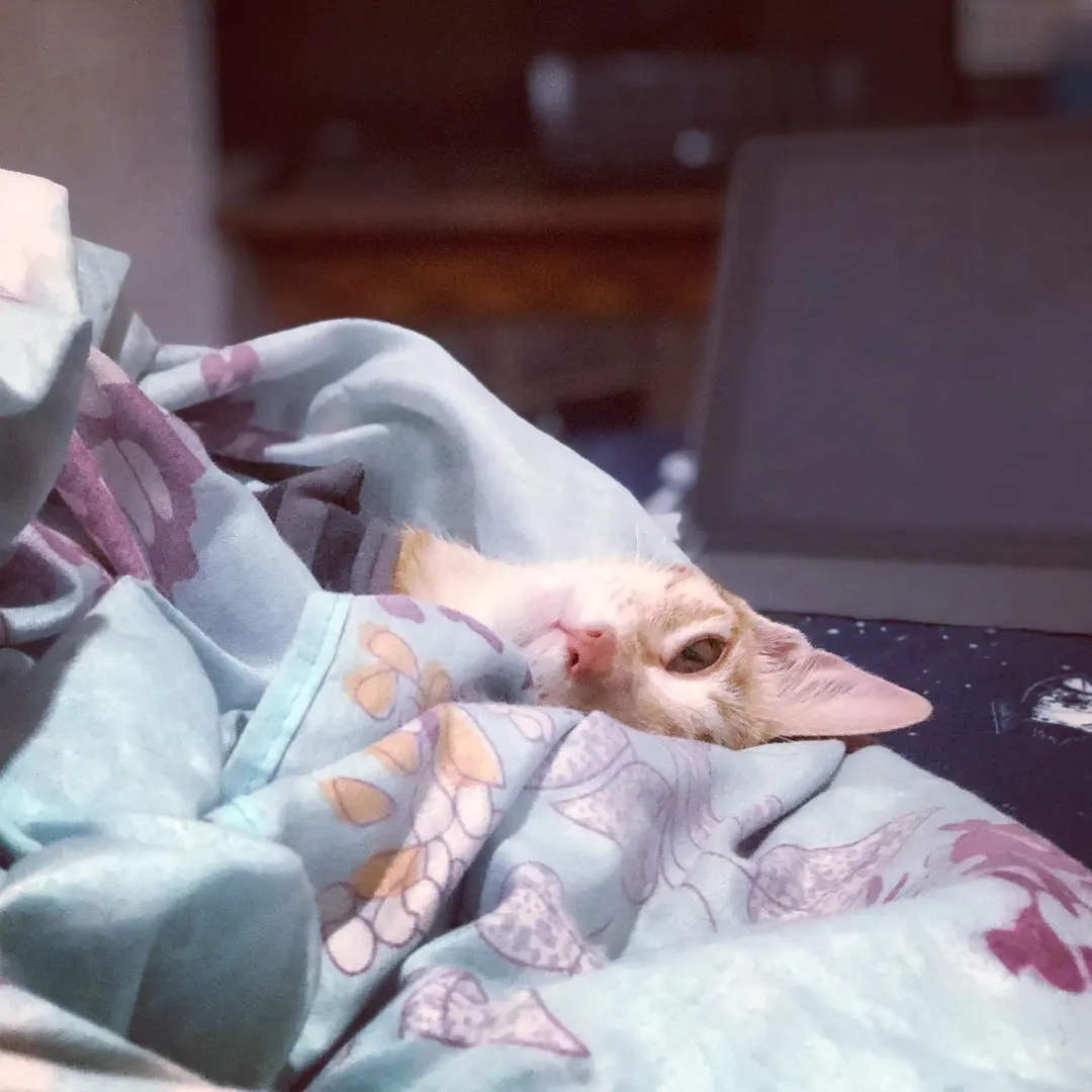 Sleeping with an eye open 🙅🏻♀️