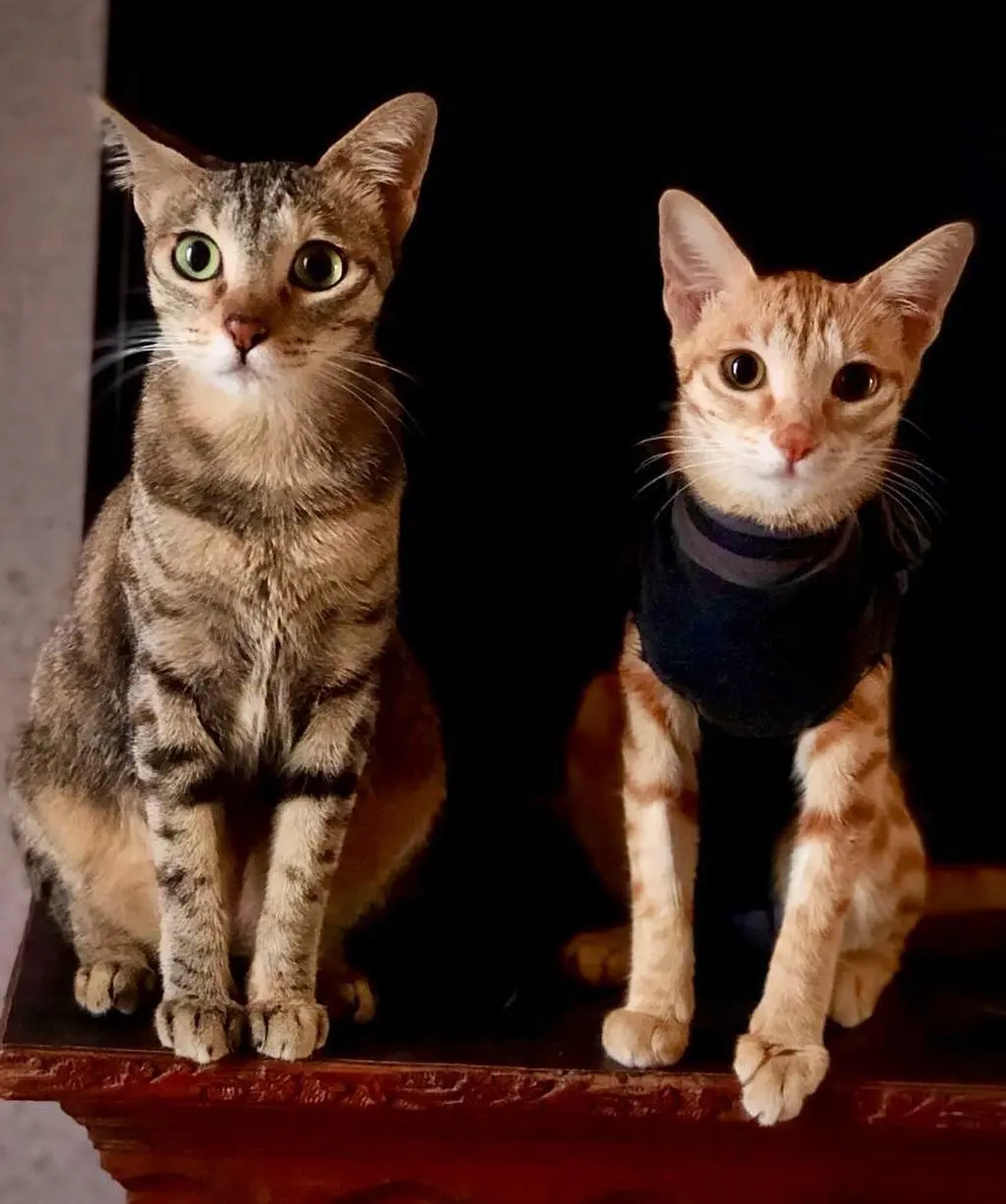 The uncanny resemblance 🧐.....mama and baby