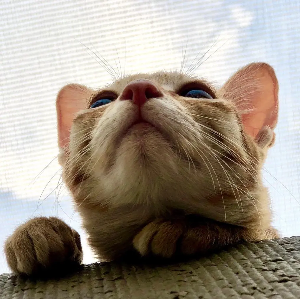 That day the world was upside down 🤪