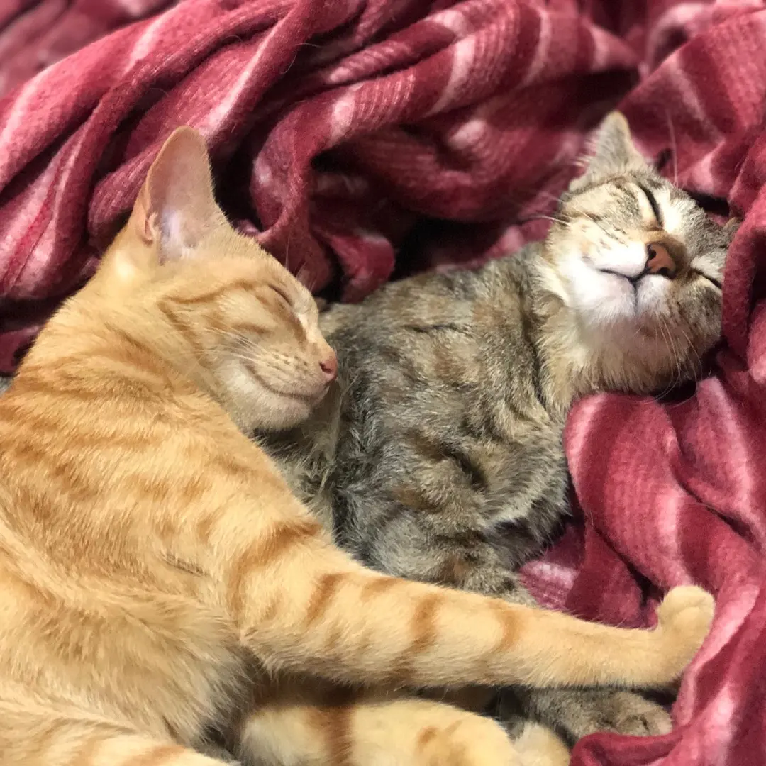 Mama and baby😍😍