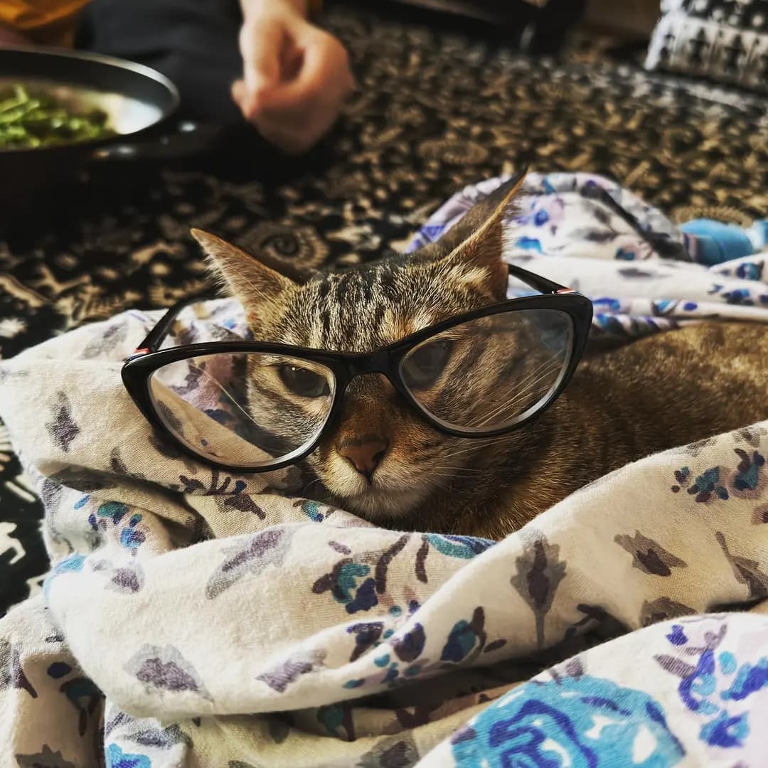 A very serious Sunday morning