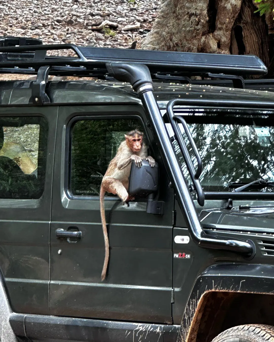 Monkeying around 🐒🐒