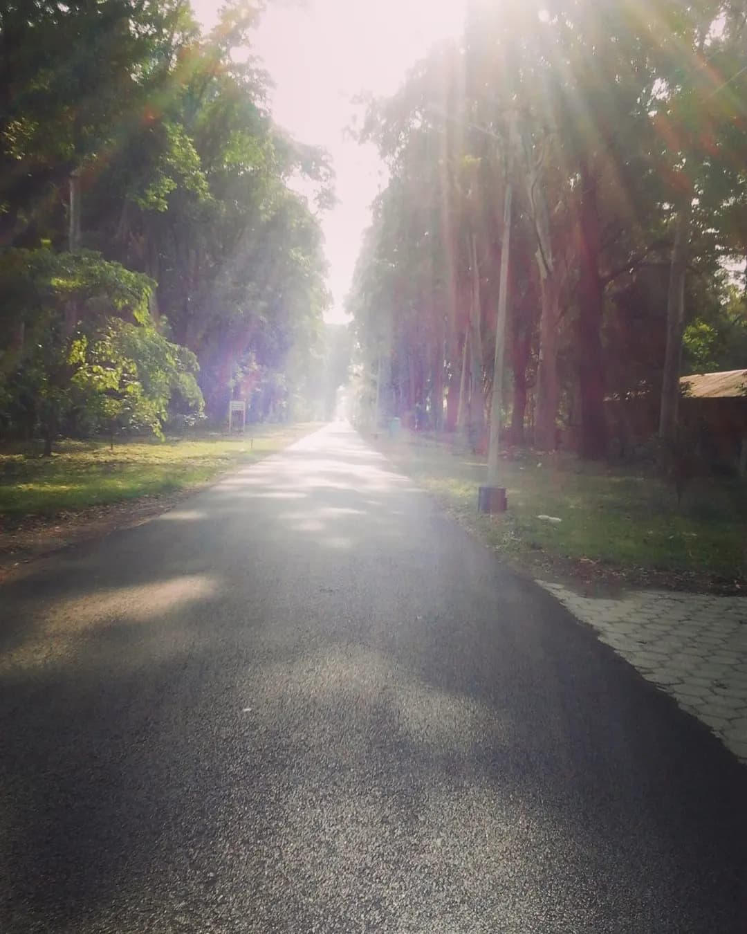 Reminiscing the days when I used to walk on this road everyday