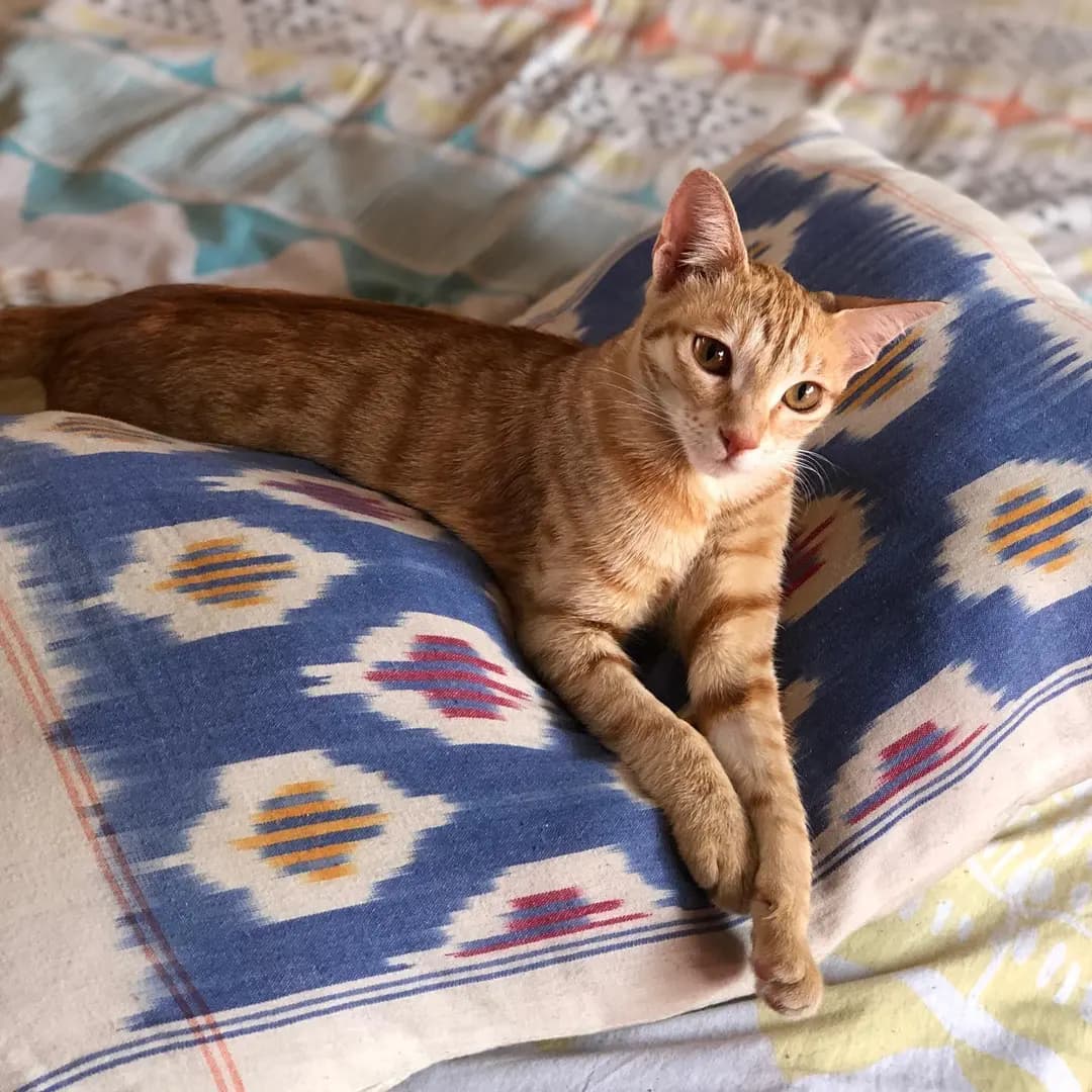 Just chilling 😎🥱