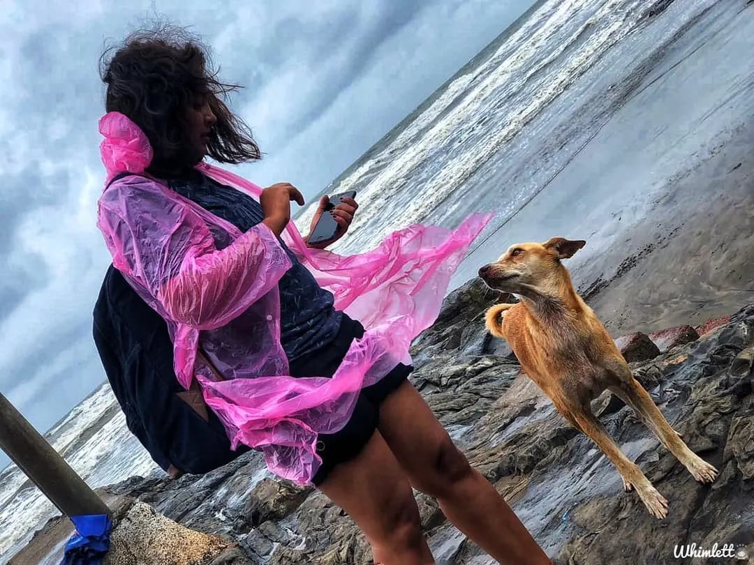 The one from Goa during 2018 monsoon