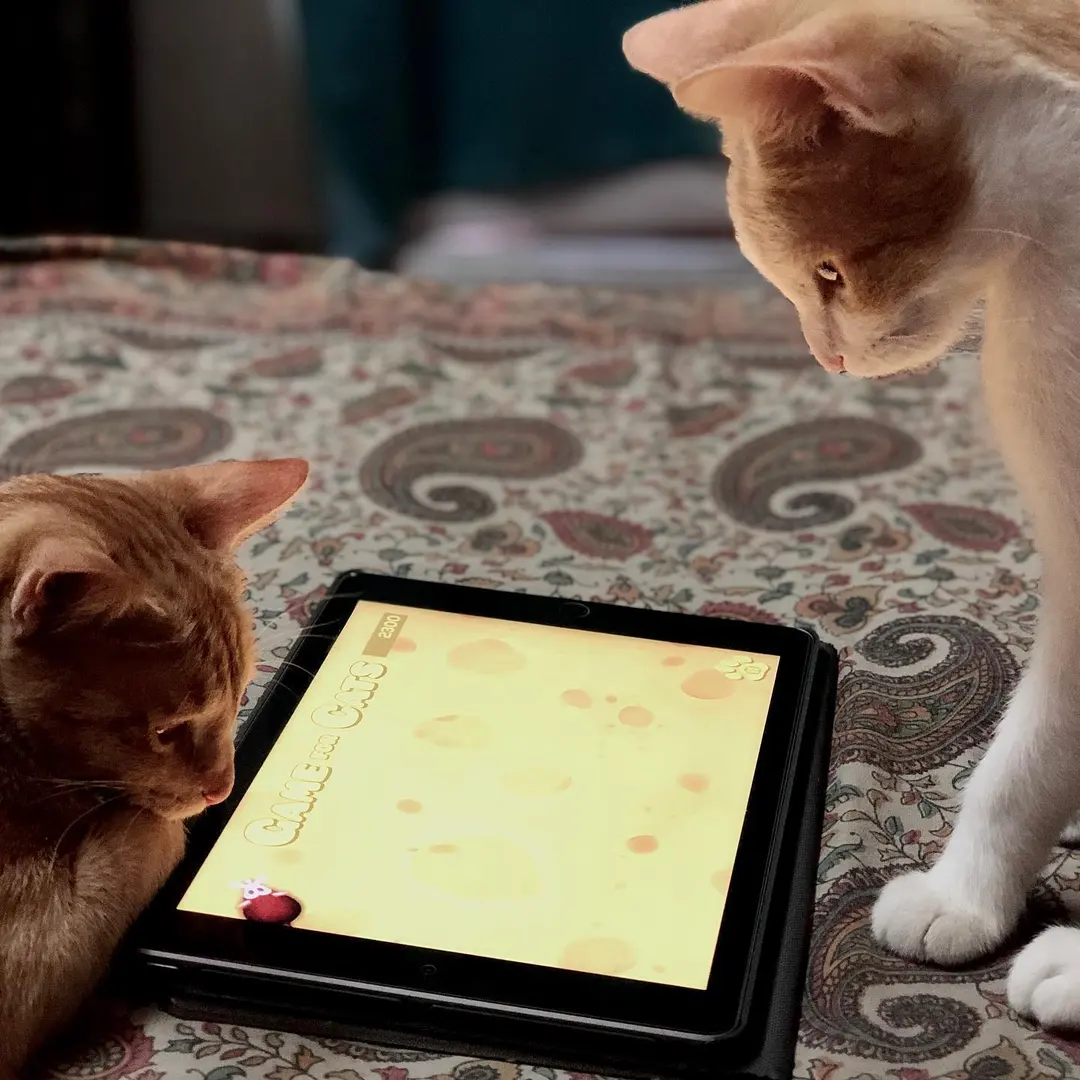 They finally played with the mouse game (2 of 2)