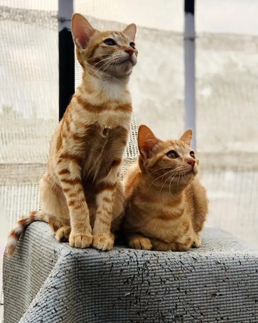 The moment in your life when they are engaged in bird gazing and you get to click a
