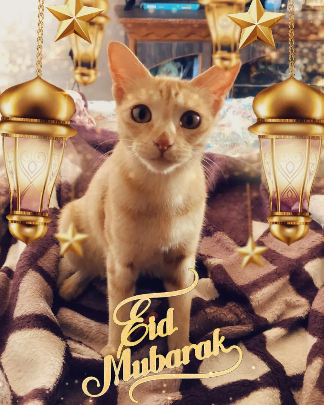 Tingmo wishing Eid Mubarak to all 😇😇