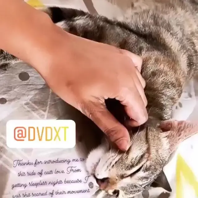 Piggy winning over hearts π»π. thank you for capturing such an amazing moment. π€π€ (2 of 2)