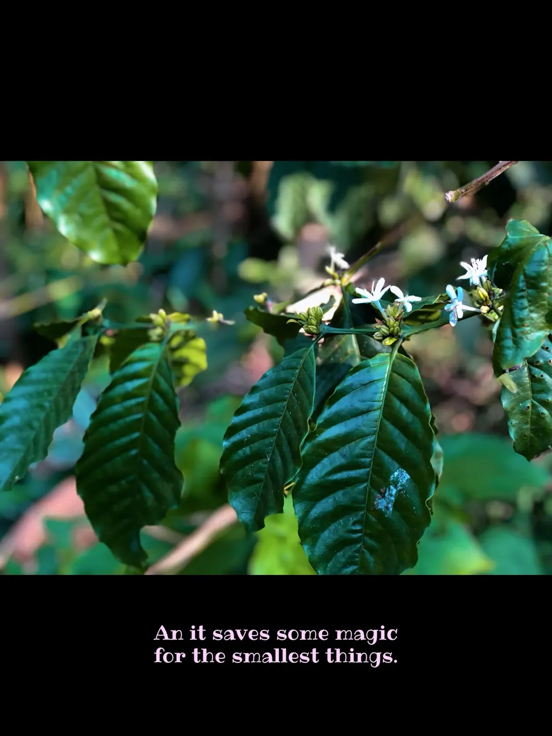 Nature doesn’t do boring (5 of 5)