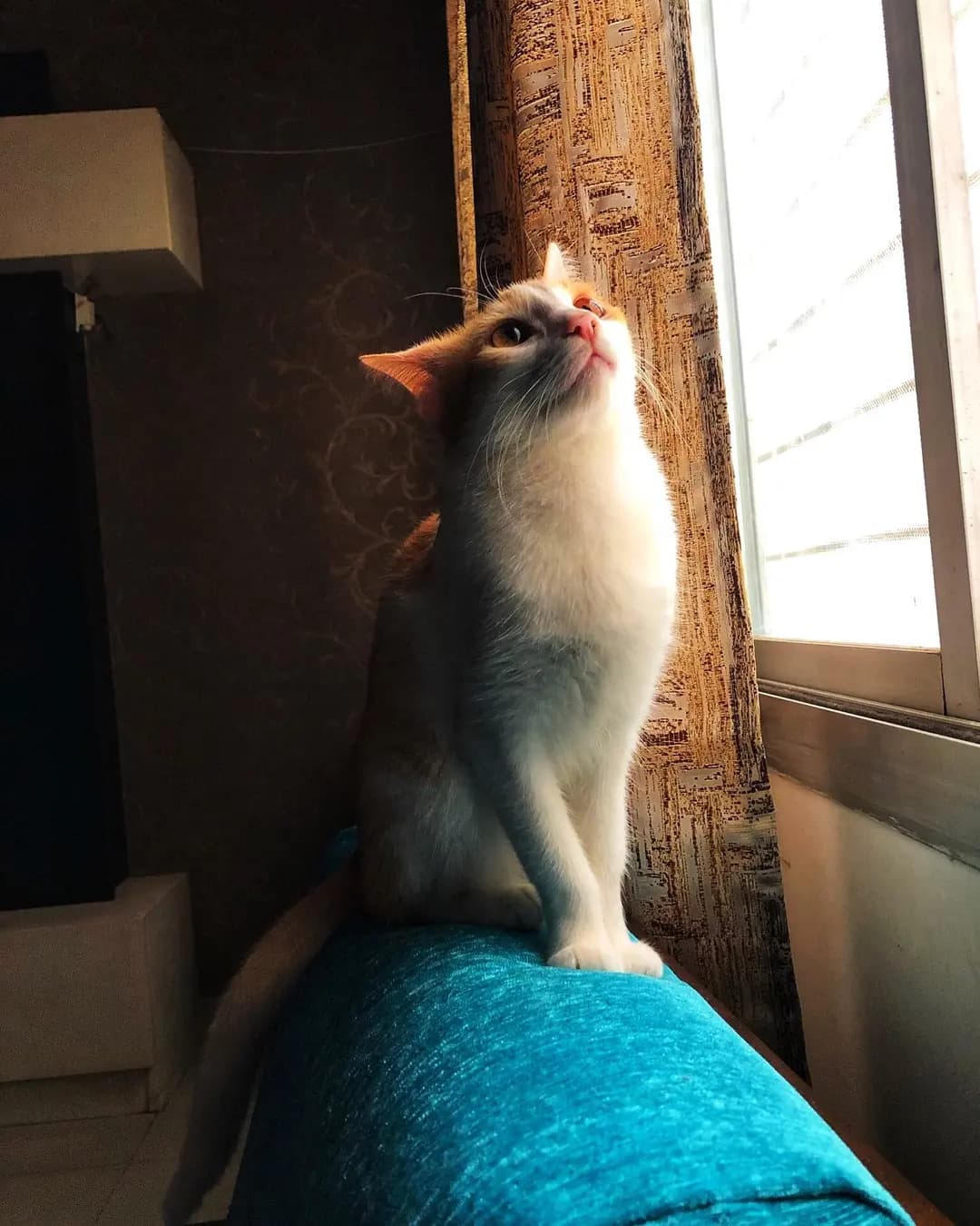 Lutfi being her photogenic self ππ