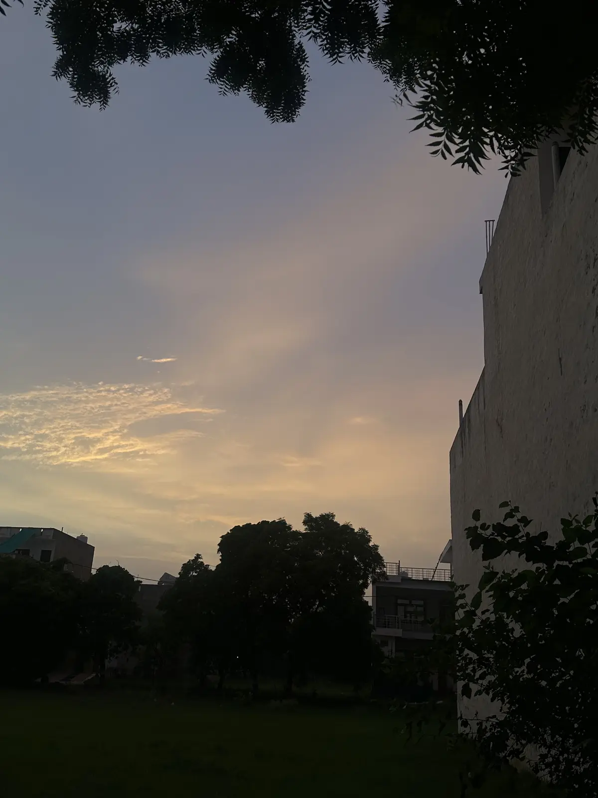 Sky and treetops above the rooftops