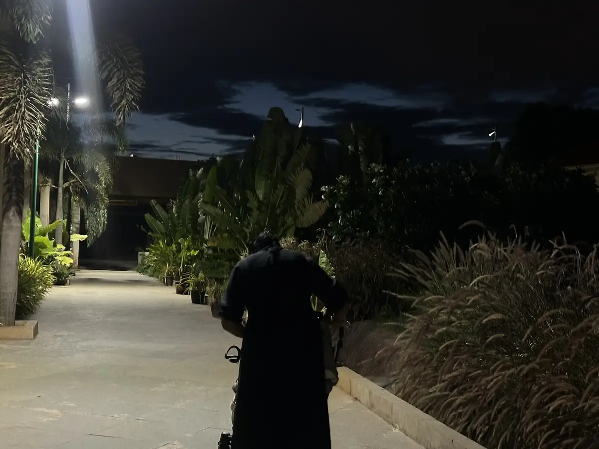 A figure walking a planted terrace at night