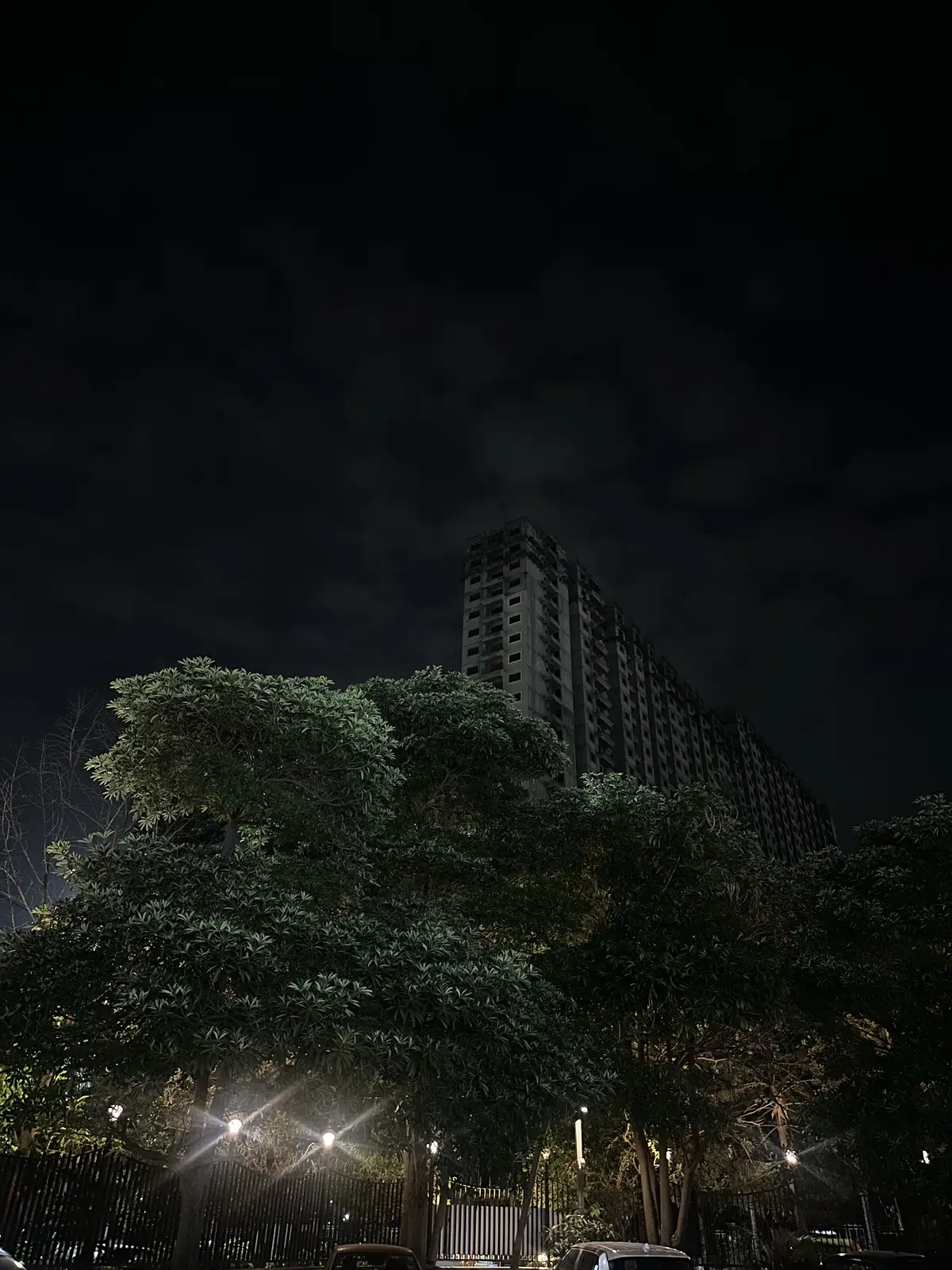 A large tree standing against a residential tower at dusk